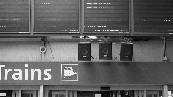 On Chorus - bringing birdsong to Irish train stations