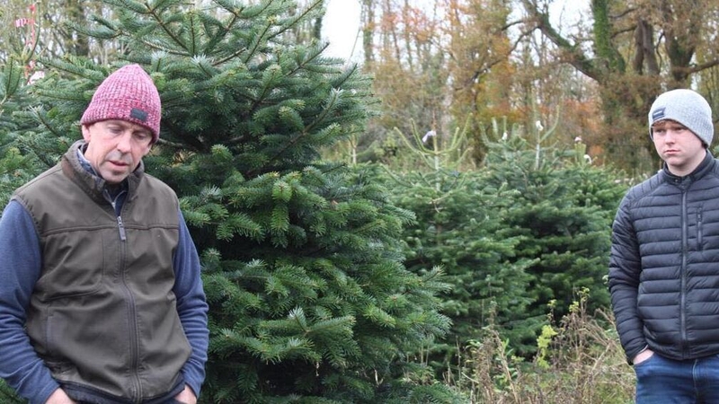 Christmas tree grower Derek Walsh enlisted the help of Jordan Casey to get his Christmas trees online