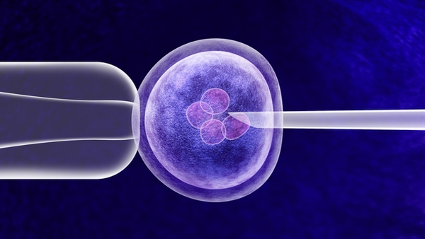 Rachel's IVF Journey: "I was absolutely heartbroken the first tim