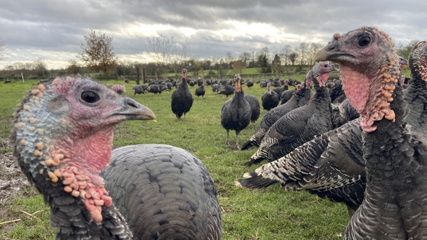 Butchers have been asked for for smaller birds instead of the traditional big turkey