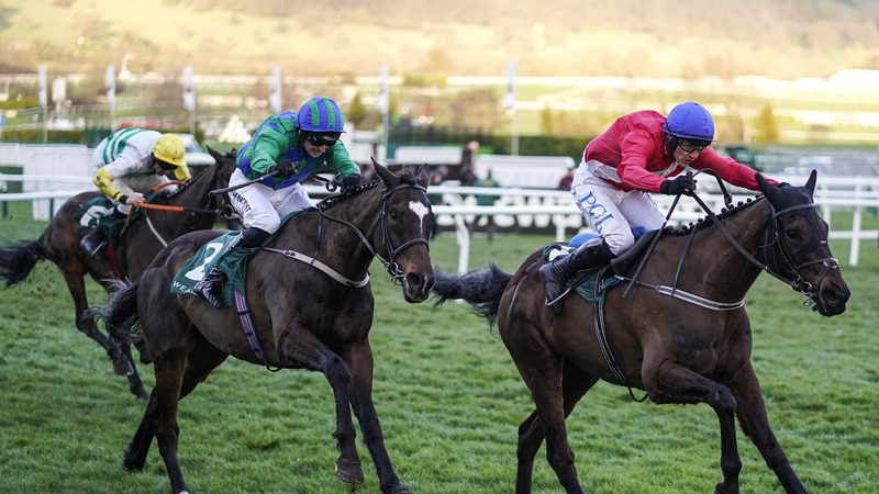 Appreciate It was second in the Champion Bumper at Cheltenham