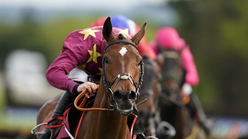 Minella Indo was not troubled at Navan