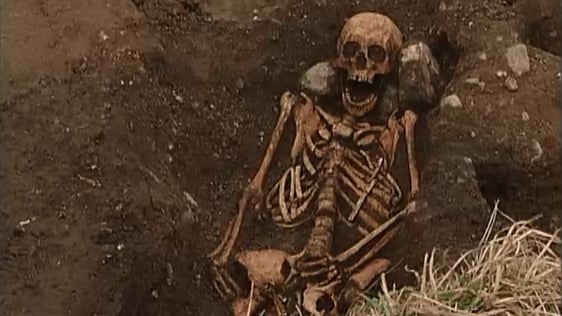 Laois Motorway Skeleton, 2006.