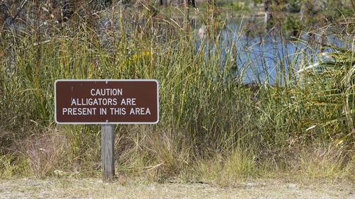 Florida Wildlife Federation said that serious injuries caused by alligators are rare in Florida