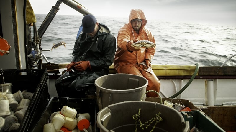 "Although we currently treat this material as a waste product, it is, in fact, a rich source of a range of useful substances". Photo: Getty Images