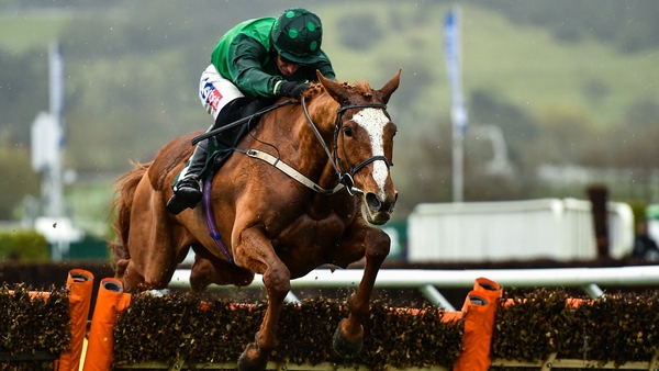 Concertista looks good for the Coolmore Mares Champion Hurdle