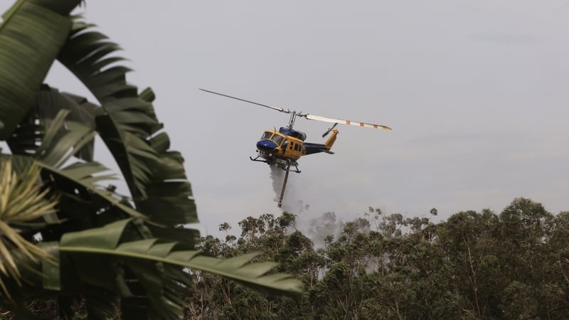 Helicopters are seen water bombing a bushfire at Northmead in Sydney