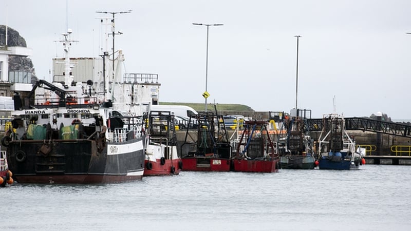 Irish fishers have concerns they only catch 15% of all that is taken in Irish waters (file pic)