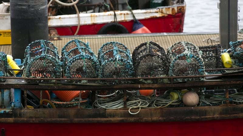 Ireland will have around 57,000 tonnes less quota to fish next year, according to the Seafood Ireland Alliance (file pic)