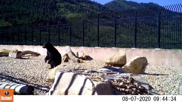 Courtesy of Utah Division of Wildlife Resources.