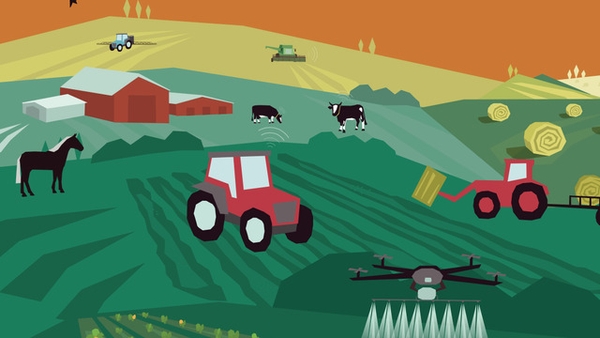 Dig In!: Your guide to life on the farm and much more