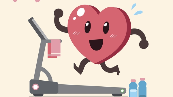 The heart: It's the most amazing muscle