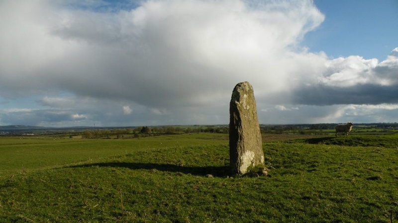 A red sand stone located on farmland in Co. Roscommon said be the burial place of Daithi, the last pre-christian king of Ireland. Photo: Gary Dempsey