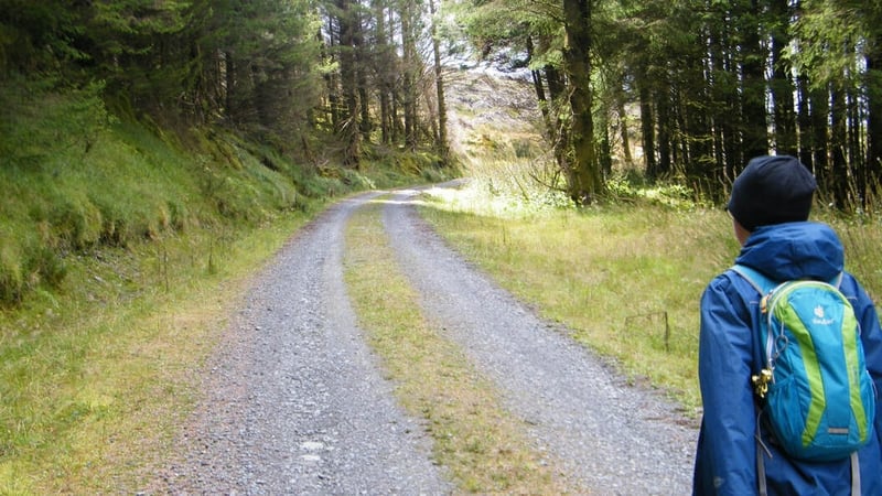 No matter the weather, taking a forest walk or a beach walk can be exhilarating.