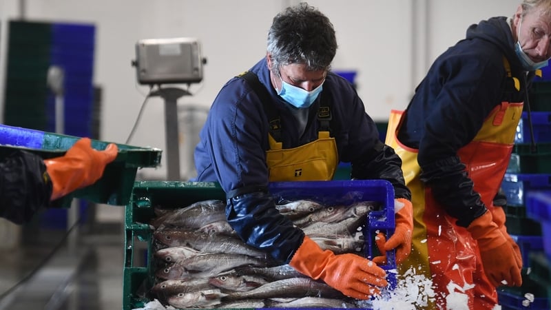 Michel Barnier has denied there was a breakthrough on the fishing issue last night