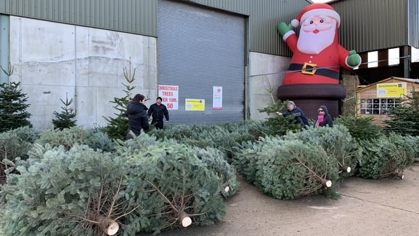 Wheelock's Christmas Tree Farm in Co Wexford are seeing people buy two trees instead of one in some instances