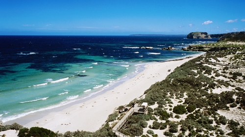 The attack happened on Kangaroo Island, off Australia's southern coast yesterday (file pic)