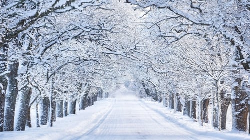 Did you know an American town once tried to outlaw snow?
