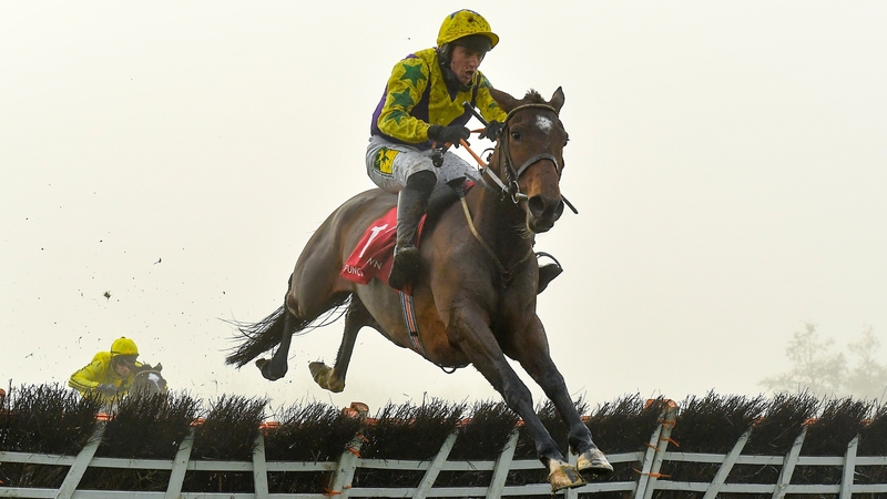 Skyace can be backed at 25-1 for the Mares' Novices' Hurdle at the Festival