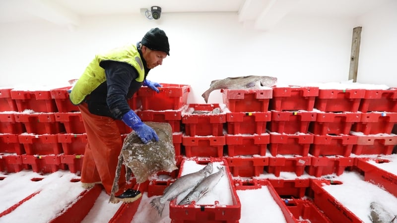 The BMI report found that 93 in every 100 Irish households bought fresh or frozen seafood last year