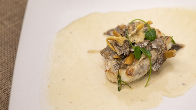 JP McMahon's monkfish with brandy and mushrooms from Today with Maura and Dáithí.