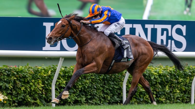 Mogul will bid to become just Aidan O'Brien's second winner of the Sheema Classic