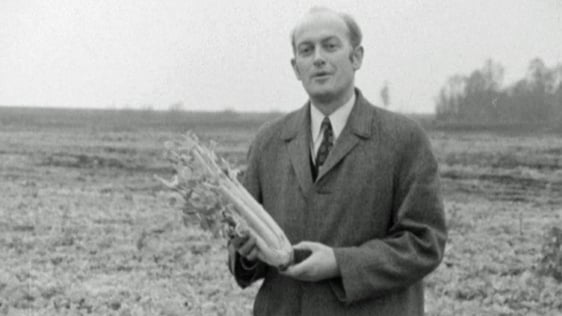Larry Sheedy 'On The Land' holding a bunch of celery (1971)