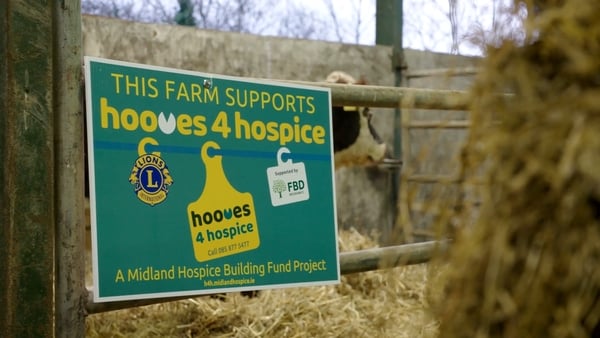 Watch Ear to the Ground on RTÉ One on Thursdays at 8.30pm.