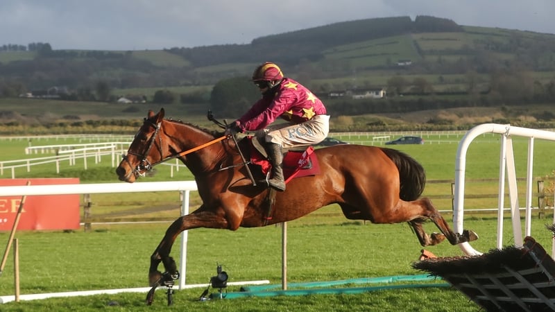 Holymacapony made a perfect start to life under Rules at Punchestown
