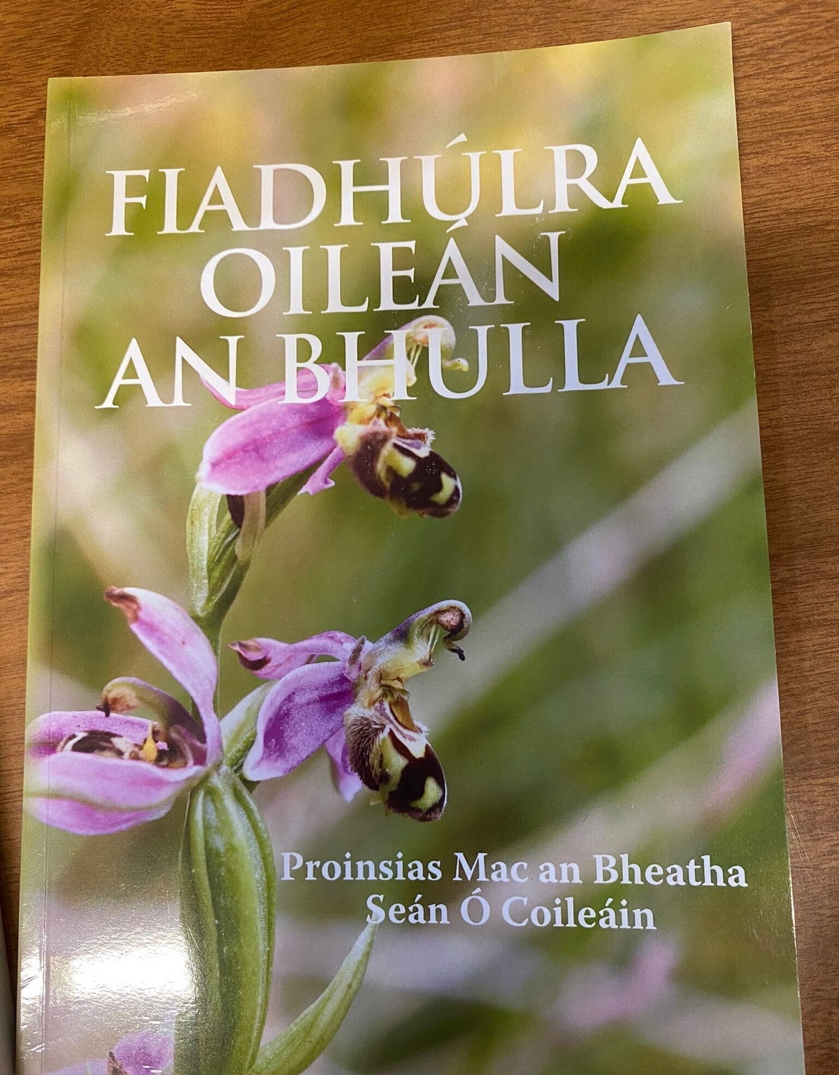 Proinsias Mac an Bheatha : Fiadhúlra Oileán an Bhulla 