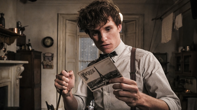 Eddie Redmayne in Fantastic Beasts: The Crimes of Grindelwald