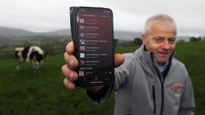 Wicklow farmer Joe Hayden will be playing carols to his herd