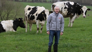 The Wicklow farmer who serenades his cows