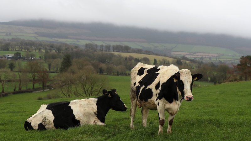 The country's CAP plan had to be resubmitted to the Commission earlier this month after the first version was rejected last March.