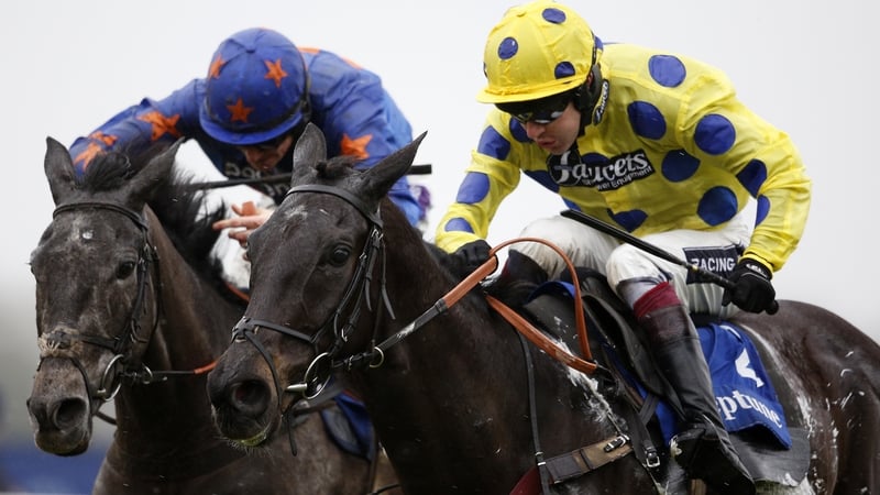 Yala Enki (near side) finished third in last year's race