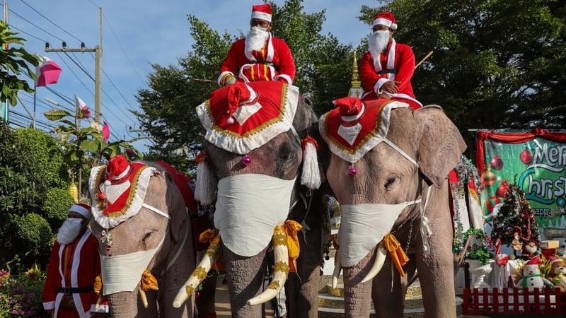 Elephants arriving at Jirasat Wittaya School near Bangkok, Thailand
