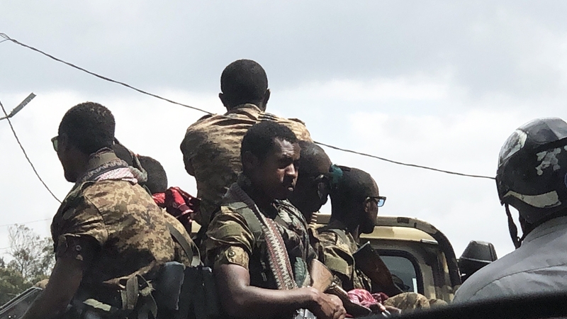 Ethiopian troops seen patrolling the streets of Addis Ababa (file image)