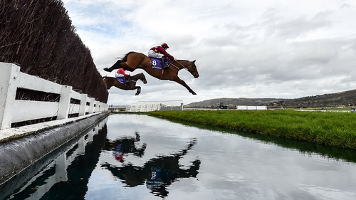 Minella Indo is a general 7-4 shot for the Paddy Power Irish Gold Cup