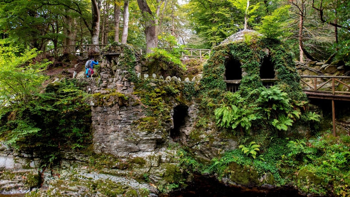 A Devoted Life: Martina Purdy and Elaine Kelly