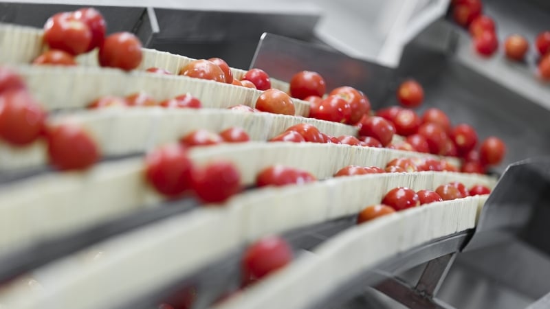 The scheme is aimed at helping food processors modernise and diversify post-Brexit