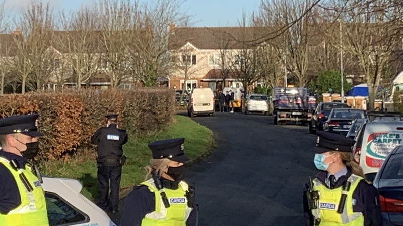 The incident happened in the Manorfields Drive area, near the Dublin/Meath border, yesterday