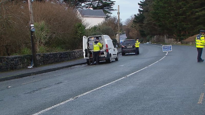 The arrested woman appeared before a special sitting of Galway District Court on Monday 28 December