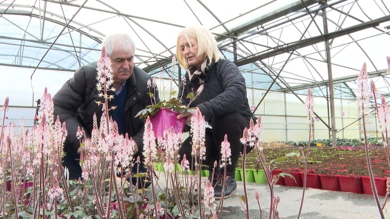 Joe and Nuala Young of Young Nurseries in Co Limerick