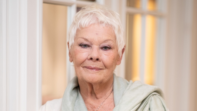 Judi Dench: "I hope audiences will have a lovely time and have a laugh and be transported for a bit so that they can forget the things they're worried about, like Brexit."