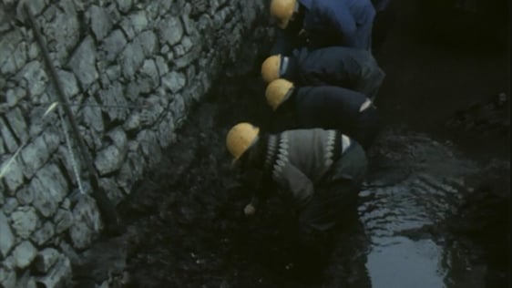 Cork City Walls Uncovered, 1981.