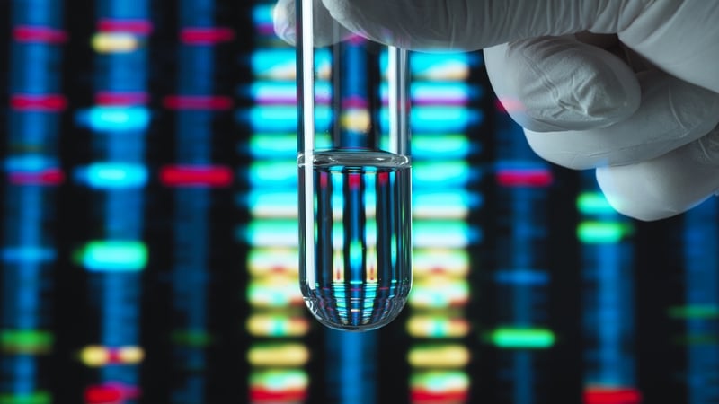 More than 1,000 students will showcase their projects