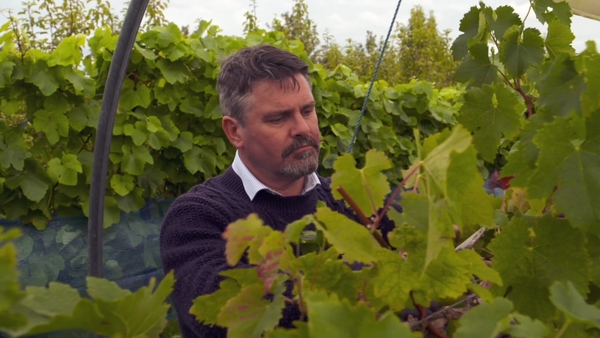 Watch Ear To The Ground at 7pm on RTÉ One
