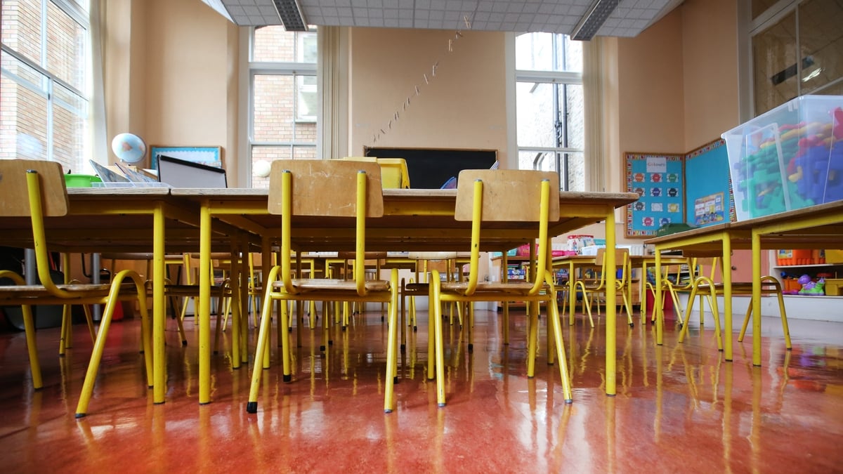 A new primary school curriculum will be phased in from next year