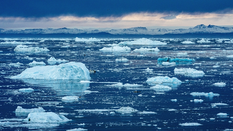 In essence, the IPCC's latest report concludes that climate change is happening more quickly than predicted, and with a greater intensity than expected