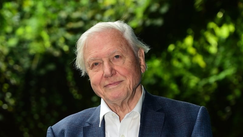 David Attenborough